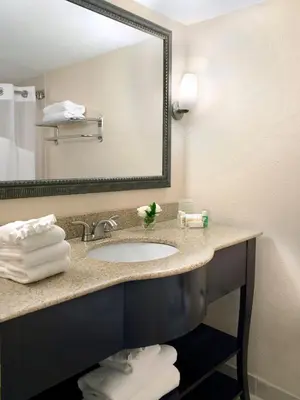 a bathroom with a sink and a mirror at Holiday Inn Miami Beach-Oceanfront by IHG in Miami Beach
