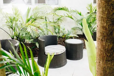 a garden with black wicker stools and plants at Riviere South Beach Hotel in Miami Beach