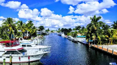 a group of boats docked in a river with palm trees at Villa Venezia in Fort Lauderdale