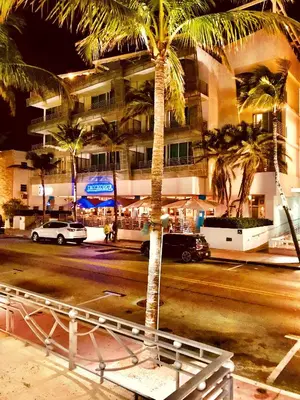 a palm tree on the side of a city street at Apartment at De Soleil Hotel on Ocean Drive in Miami Beach