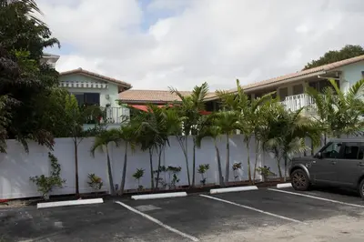a fence with palm trees in a parking lot at The Big Coconut Guesthouse - Gay Men's Resort in Fort Lauderdale