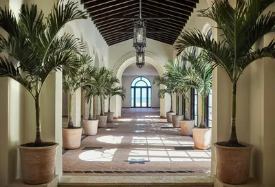 a hallway with palm trees in large pots at Four Seasons Hotel at The Surf Club in Miami Beach