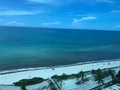 an aerial view of a beach with palm trees and the ocean at Ocean Front Studio Units in Miami Beach