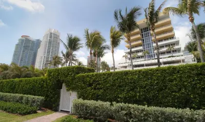a hedge in front of palm trees and buildings at Beachfront Bentley Hotel One Bedroom Suite with Balcony and Beach access in Miami Beach