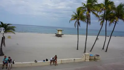 a group of people standing on a beach with palm trees at Golden Sand Oceanfront in Hollywood