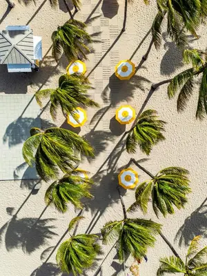 an overhead view of trees and yellow objects on the beach at The Lago Mar Beach Resort and Club in Fort Lauderdale