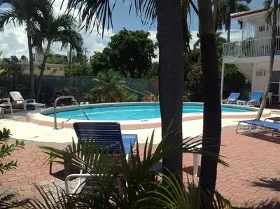 a swimming pool with chairs and a palm tree at Birch Patio Motel in Fort Lauderdale