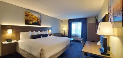 a hotel room with a large bed and a window at Best Western Plus Hollywood/Aventura in Hollywood