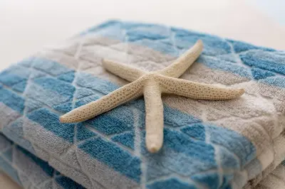 two starfish sitting on top of a towel at Apartment On The Beach in Miami Beach