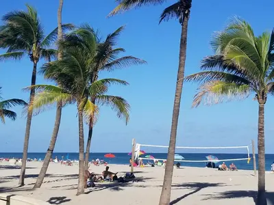 a group of palm trees on a beach with a volley ball at CH Luxury Condos & Studios On The Beach in Hollywood