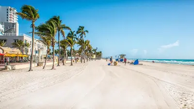 a sandy beach with palm trees and the ocean at Three-Bedroom Beachwalk Resort Apartment in Hallandale Beach