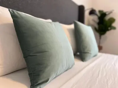 two green pillows on a white couch with a plant at Costa Norte Boutique Hotel Miami Beach in Miami Beach