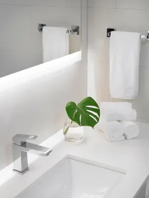 a bathroom with a sink with a plant on it at Grand Beach Hotel Bay Harbor in Miami Beach