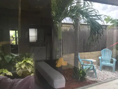 a backyard with a bed and two chairs and a palm tree at INN LEATHER GUEST HOUSE-GAY MALE ONLY in Fort Lauderdale