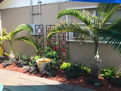 a palm tree in a garden in front of a building at INN LEATHER GUEST HOUSE-GAY MALE ONLY in Fort Lauderdale