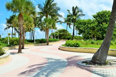 a walkway with palm trees in a park at Penthouse De Soleil South Beach - on Ocean Drive Miami Beach in Miami Beach