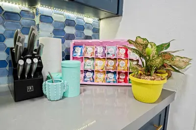 a counter with a potted plant on a counter top at Alquiler temporario Miami in Hollywood