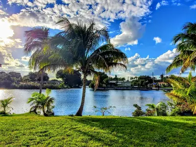 a palm tree sitting next to a body of water at Lakefront Vacation Home - Sleeps 8 in Davie