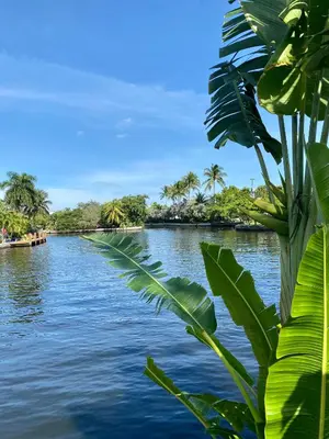 a view of a river with palm trees in the background at The Cabanas Guesthouse & Spa - Gay Resort catering to Gay Men in Fort Lauderdale