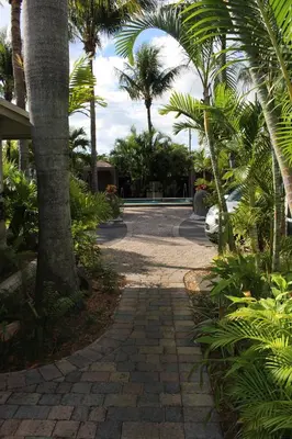 a walkway with palm trees in a park at The Cabanas Guesthouse & Spa - Gay Resort catering to Gay Men in Fort Lauderdale