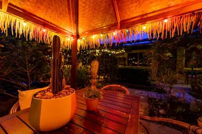 a wooden table with two cacti on a patio with lights at The Desoto - Oceanview Inn in Hollywood