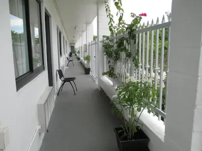 a corridor of a building with a chair and plants at Shalimar Motel in Miami