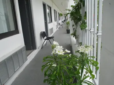 a corridor of a building with a chair and flowers at Shalimar Motel in Miami