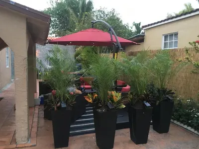 a group of potted plants in black containers with an umbrella at A Suite Retreat in Miami