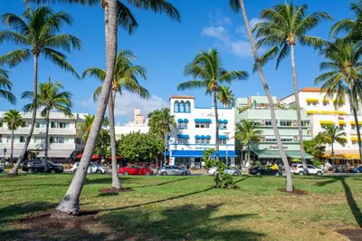 a park with palm trees in front of buildings at Iconic Views in Miami