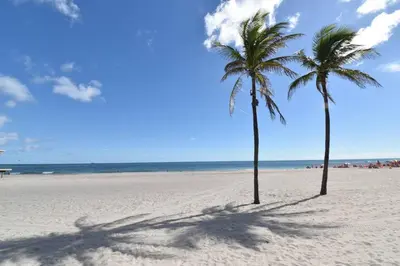 two palm trees on a sandy beach with the ocean at Cozy apartment wsteps to beach boardwalk in Hollywood