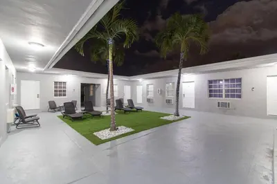 two palm trees in a room with chairs at Modern apartment wbeach steps parking in Hollywood