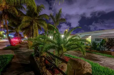 a group of palm trees in front of a building at Green Seas Motel in Hollywood