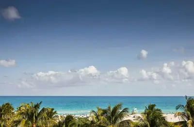 a view of the beach with palm trees and the ocean at The Betsy Hotel, South Beach in Miami Beach