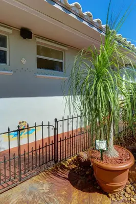 a plant in a pot next to a fence at Richard's Pet Friendly Motel in Hollywood