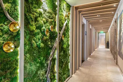 a corridor with a green wall in a building at Lennox Miami Beach in Miami Beach