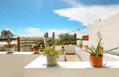 a group of potted plants sitting on a balcony at The Local House in Miami Beach
