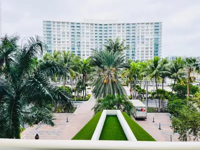 a view of a park with palm trees and a building at Miami Hollywood Bay View on the Beach 002-1bvic in Hollywood