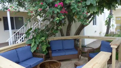 a porch with blue chairs and a tree with pink flowers at Ocean Drive Villas in Hollywood