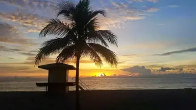 a palm tree on the beach with a sunset at Atlantic Sands Beach Suites in Hollywood