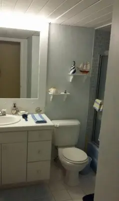 a bathroom with a toilet and a sink and a mirror at Large Lush Oasis Paradise by FLL Beach and Galleria - 2bd 2ba in Fort Lauderdale