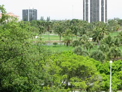 a park with palm trees and buildings in the background at Resort Style In Aventura Florida in Aventura