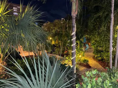 a palm tree in a garden at night at Beach Tide Motel in Hollywood