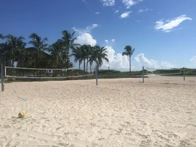 a volley ball on a sandy beach with palm trees at Heart of South Beach / Modern Apartment / Ocean Drive - Carlyle in Miami Beach