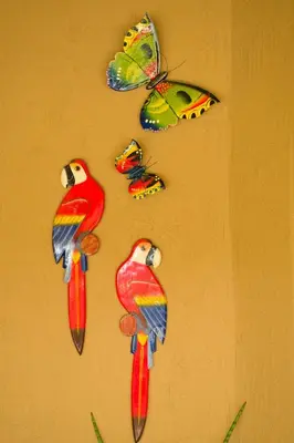 a wall with three colorful birds and a butterfly at Yuli's Home in Miami