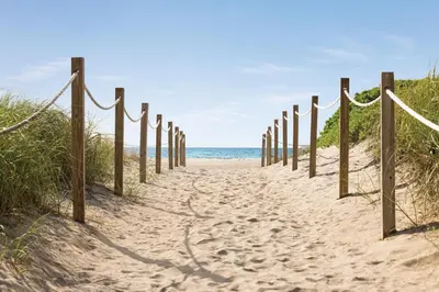 a path through the sand on a beach at Waldorf Towers South Beach in Miami Beach
