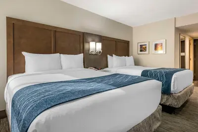 two beds in a hotel room with two at Comfort Inn & Suites Downtown Brickell-Port of Miami in Miami