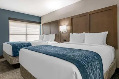 two large white beds in a hotel room at Comfort Inn & Suites Downtown Brickell-Port of Miami in Miami