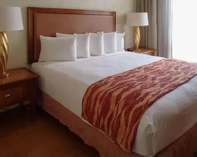 a large bed in a hotel room with two lamps at Rodeway Inn South Miami - Coral Gables in Miami