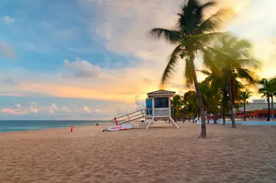 a beach with a life guard shack and a palm tree at Alani Bay Premium Condos in Fort Lauderdale
