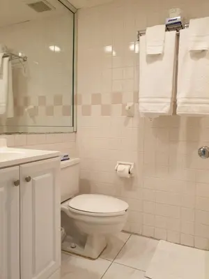 a white bathroom with a toilet and a sink at Hotel Chateaubleau in Miami